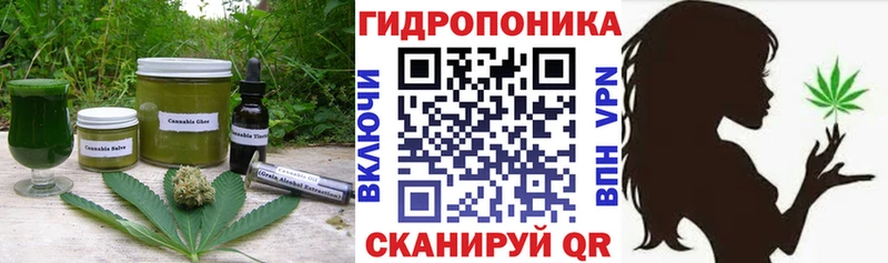Cannafood марихуана  Нововоронеж 