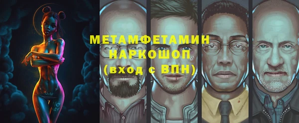 гидра Надым