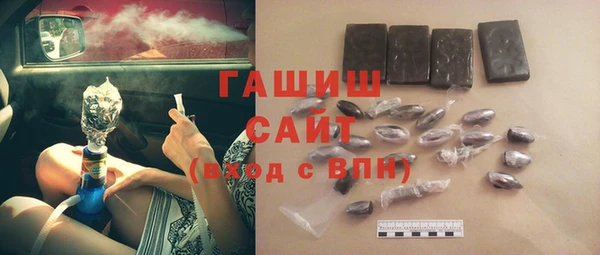 гидра Надым