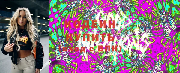 гидра Надым