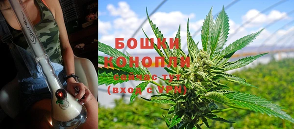 гидра Надым