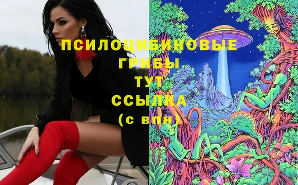 дживик Анива