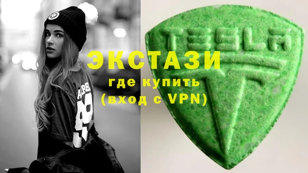 гидра Надым