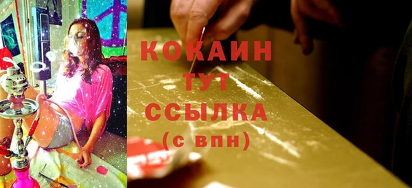 гидра Надым