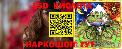 ПСИЛОЦИБИНОВЫЕ ГРИБЫ Гусев