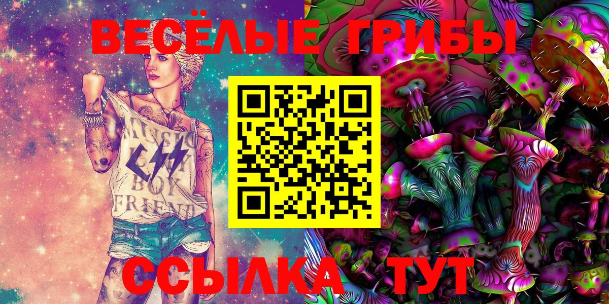 Галлюциногенные грибы Psilocybine cubensis  Нововоронеж  Галлюциногенные грибы мицелий 